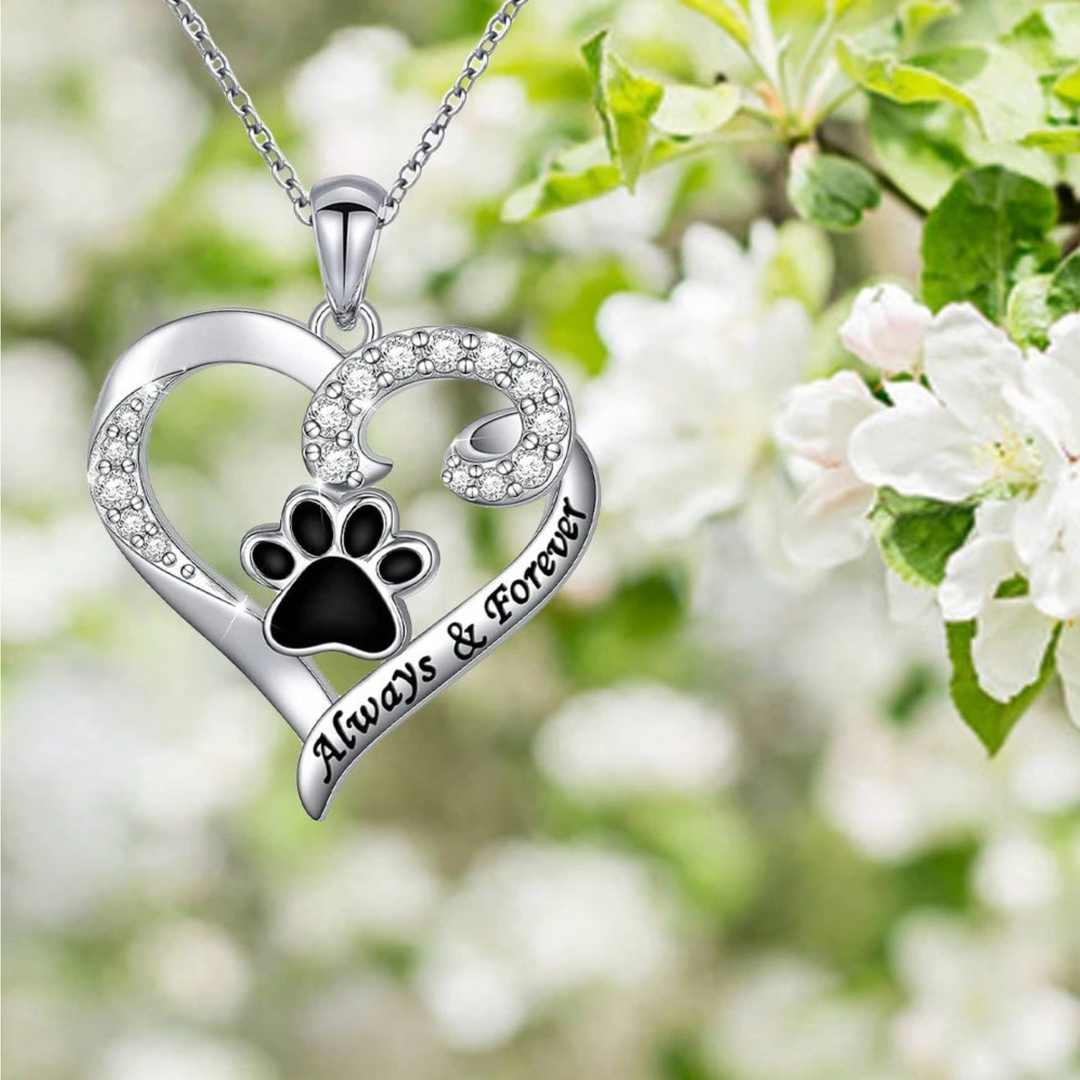 Dog Paw Necklace – Heart Design in Stainless Steel with Zirconia