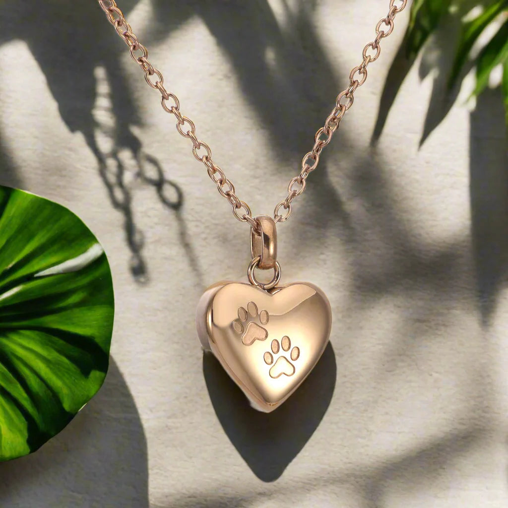 Silver Locket Necklace Aislinn with Paw Prints