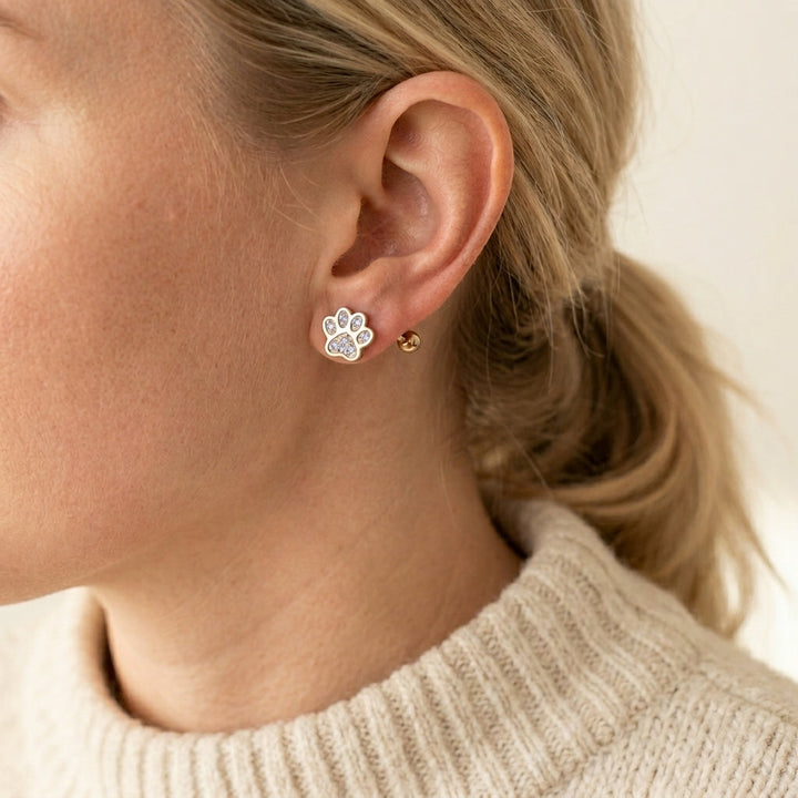 Silver Stud Earrings Eithne with Paw Print Motif