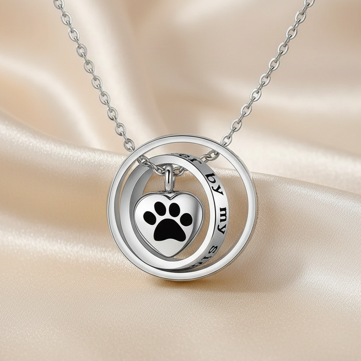 Stainless Steel Necklace Caoimhe with Paw Print Heart