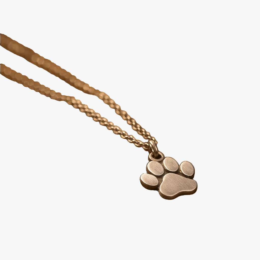 Gold Necklace Méabh with Paw Print