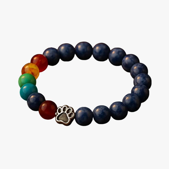 Blue Beaded Bracelet with Paw Print & Chakra Stones